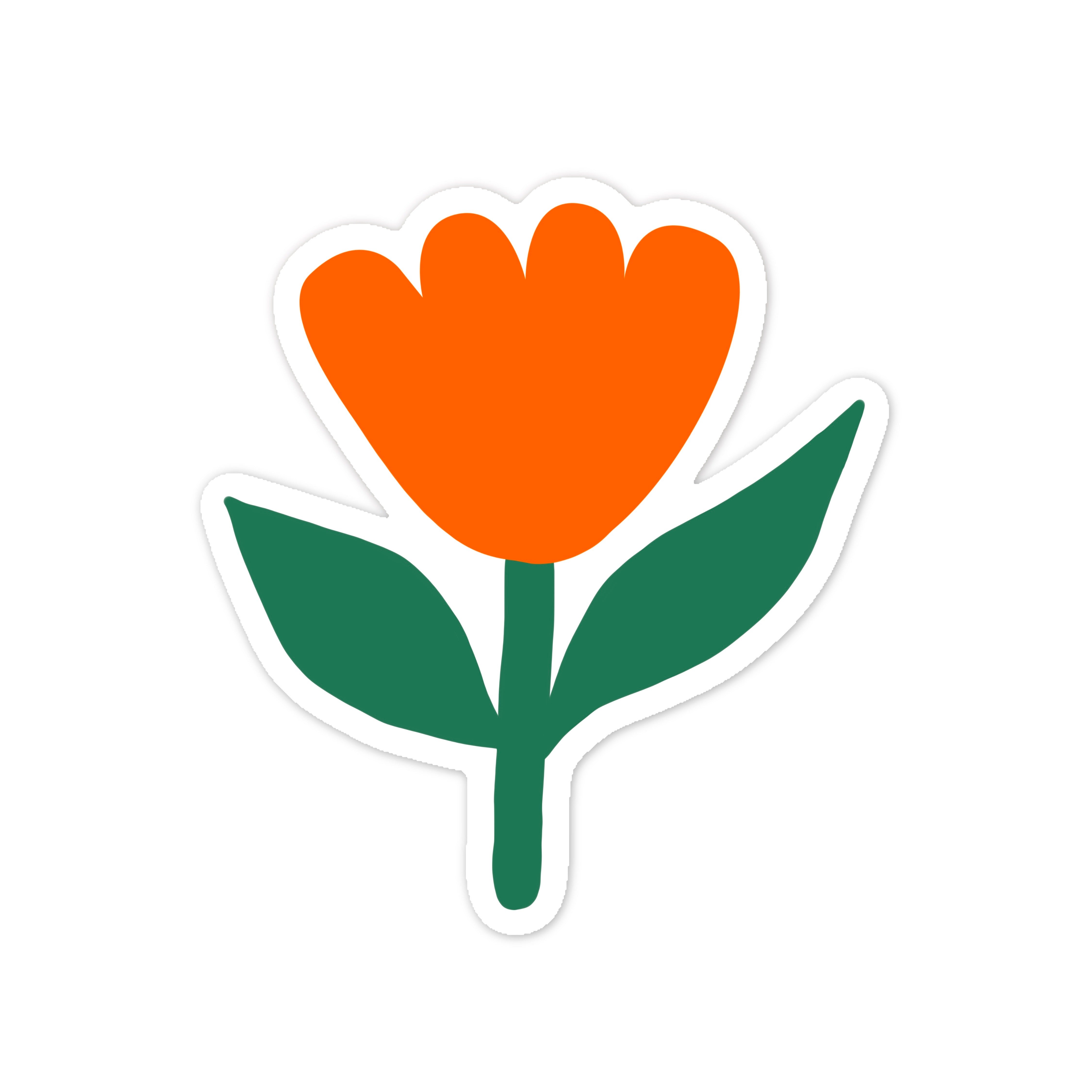 levkalade tulip